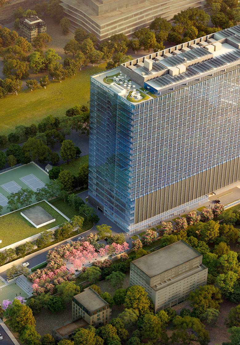 Crafting the Future of Work and Life